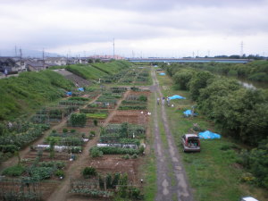 能代川と市民農園 能代川と市民農園