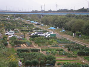 能代川「しんかな農園」 能代川「しんかな農園」