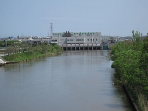 新井郷川分水路と日本海 新潟の里川あれこれ