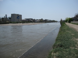 新井郷川分水路と日本海 新潟の里川あれこれ