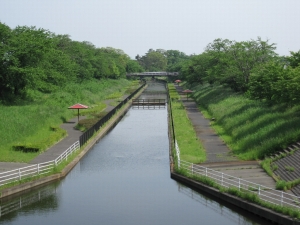 桜遊歩道公園