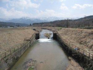 大荒川 大荒川