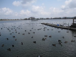 瓢湖 瓢湖