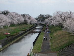鷲ノ木大通川(水門から上流を眺める) 鷲ノ木大通川(水門から上流を眺める)